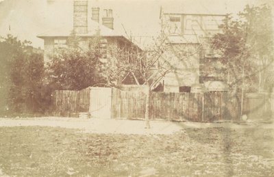 Træ i gården, 1850