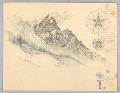 Antelao, fra Cortina, med studier af blomster af Samuel Colman
