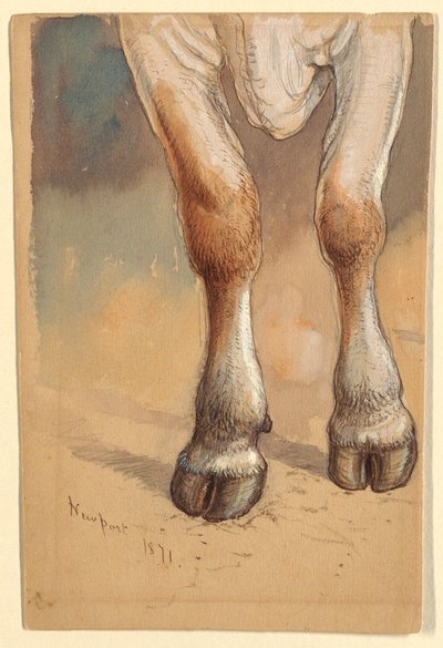 Tegning, Studier efter kvæg, 1871 af Samuel Colman