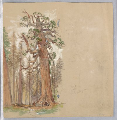 Eg og stedsegrøn af Samuel Colman