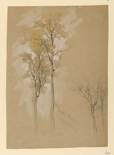 Oaks, Lady Wood Lane, Irvington af Samuel Colman