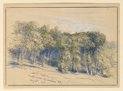 Undersøgelse af Maple Grove, Greensboro, Vermont af Samuel Colman