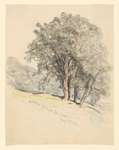 Undersøgelse af egetræer ved Lake Dunmore, Vermont af Samuel Colman