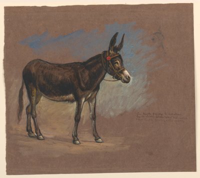 Studie af et Muldyr af Samuel Colman