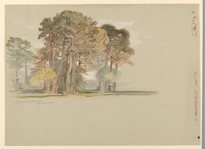 Pine Trees of El Monte, Californien af Samuel Colman