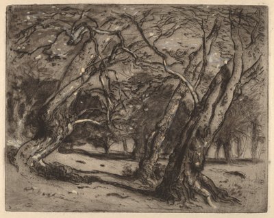 Uden titel (Skovlandskab) af Samuel Colman