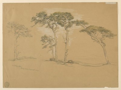 Vindblæste Pines, Pacific Grove. Bagside: Pacific Coast-vejen til Point Sur. af Samuel Colman