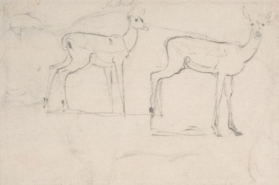 Undersøgelse for to stående Pallah-hjort af Samuel Daniell