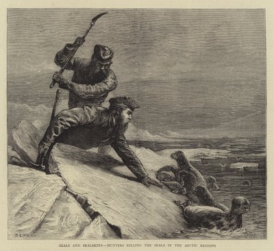 Sæler og sælskind, jægere, der dræber sælerne i de arktiske områder af Samuel Edmund Waller