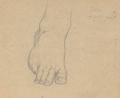 Studie til Jupiters dom (Idas, højre fod) af Samuel Finley Breese Morse