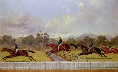 A Steeplechase Dani af Samuel Henry Alken