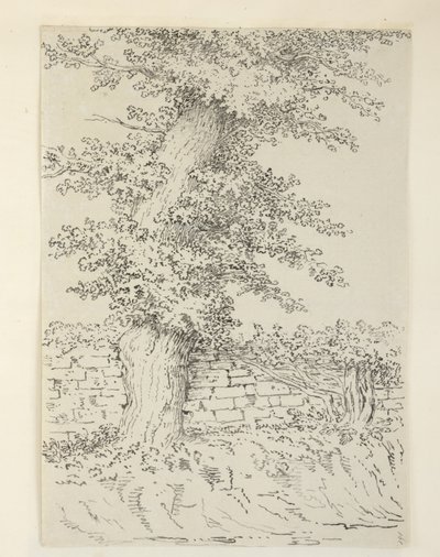Tilføje. MS 15546 Am Elm Tree ved Bedminster af Samuel Hieronymous Grimm