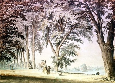 Træer ved Themsen over for Hammersmith af Samuel Hieronymous Grimm
