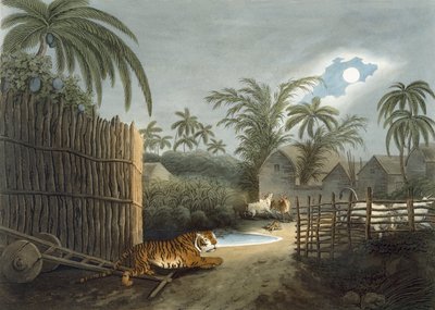 En tiger, der strejfer gennem en landsby (kvæg i rædsel), fra 