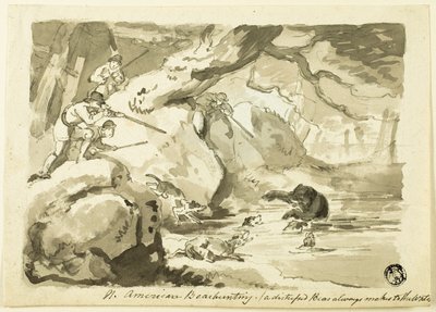 nordamerikansk bjørnejagt (recto); Shell (omvendt) af Samuel Howett