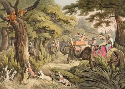 Shooting A Leopard, fra Oriental Field Sports, pub. af Edward Orme, 1807 (tryk) af Samuel Howett