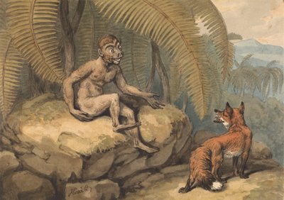 En abe og en ræv af Samuel Howitt