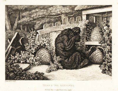 En brun bjørn angrebet af en hær af bier. 1811 (ætsning) af Samuel Howitt