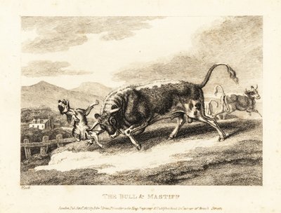 En tyr slår en hund ihjel på en mark. 1811 (ætsning) af Samuel Howitt