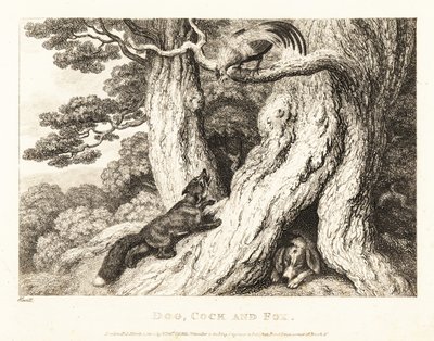 En hane i et træ overliste en ræv, mens en hund sover. 1811 (ætsning) af Samuel Howitt