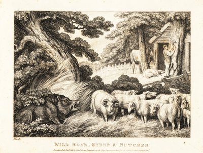 En flok får venter på slagtning af en slagter. 1811 (ætsning) af Samuel Howitt