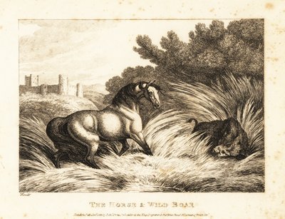 En hest og vildsvin vender ud mod en græsgang. 1811 (ætsning) af Samuel Howitt
