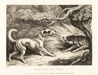 En hushund i halsbånd tilbyder mad til en udsultet ulv. 1811 (ætsning) af Samuel Howitt