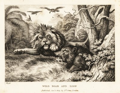 En løve og vildsvin kæmper, mens gribbe kredser over. 1811 (ætsning) af Samuel Howitt