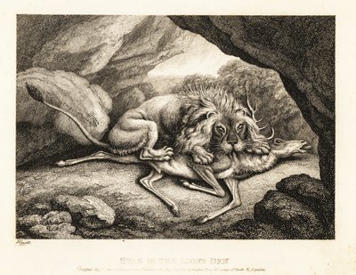 En løve spiser kadaveret af en kronhjort i en hule. 1811 (ætsning) af Samuel Howitt