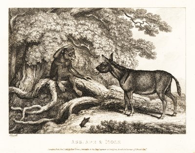 En abe og et æsel stønner, indtil en muldvarp gør dem tavse. 1811 (ætsning) af Samuel Howitt