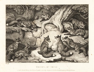 En flok ræve mødes i en skov. 1811 (ætsning) af Samuel Howitt