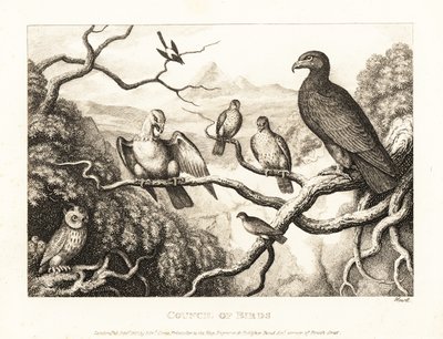 En ørn præsiderer over en gård af fugle i et træ. 1811 (ætsning) af Samuel Howitt