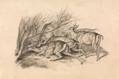 Hjorte før et krat af Samuel Howitt