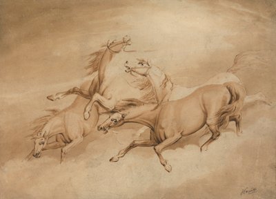 Fire galoperende heste af Samuel Howitt