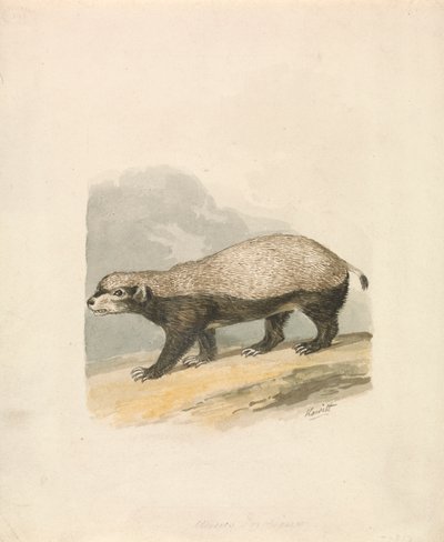 Honninggrævling af Samuel Howitt