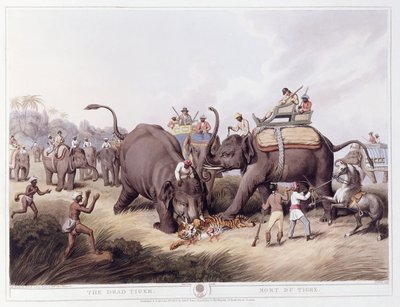 Den døde tiger; Mort du tigre, 1807 af Samuel Howitt