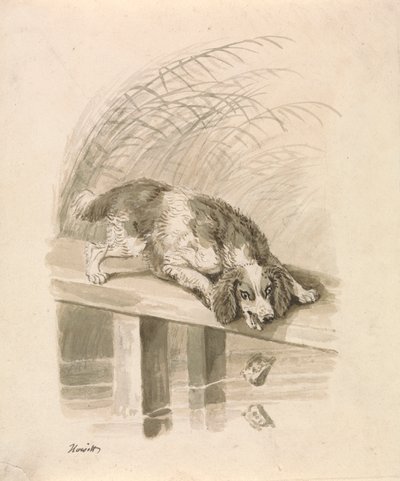 Hunden og Skyggen af Samuel Howitt