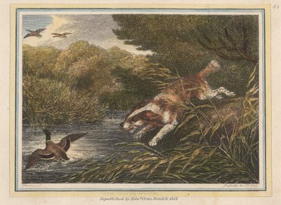 Vandspanielen af Samuel Howitt