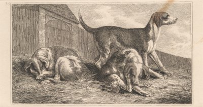 Tre Hunde af Samuel Howitt
