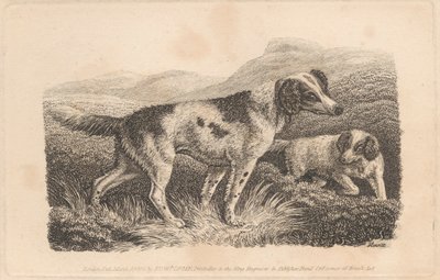 To Hunde af Samuel Howitt