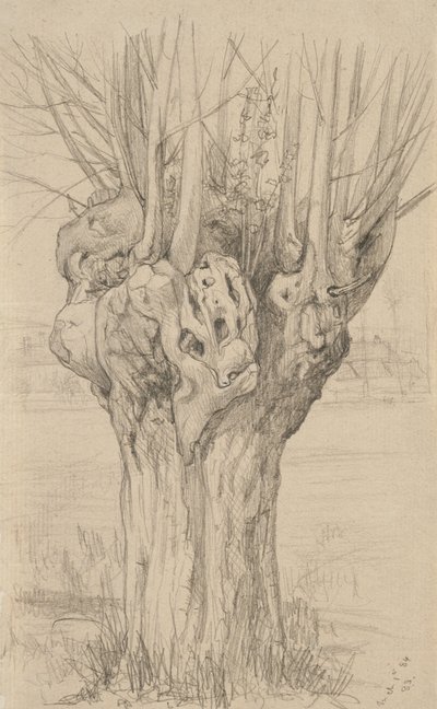 Knudret træ, 1884 (grafit på bleget papir) af Samuel Isham