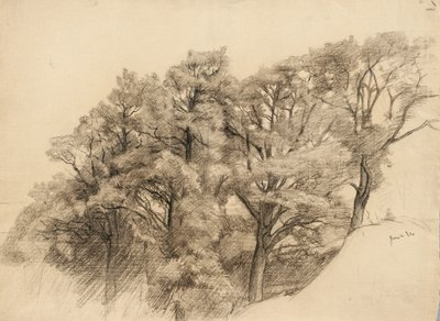 Landskab med træer, 1884 (trækul på bopapir) af Samuel Isham