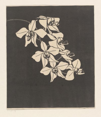 Orkideer af Samuel Jessurun de Mesquita (signed by artist)