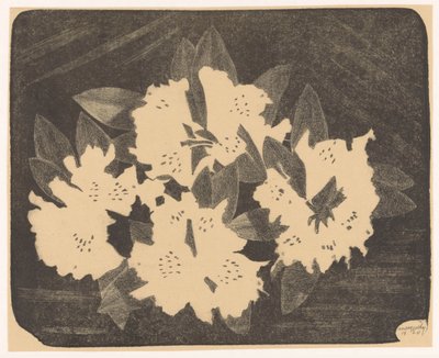 Rhododendron af Samuel Jessurun de Mesquita (signed by artist)