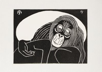 Orangutang af Samuel Jessurun de Mesquita