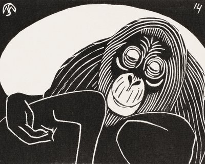 Orangutang af Samuel Jessurun de Mesquita