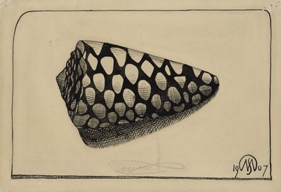 Shell, til højre af Samuel Jessurun de Mesquita
