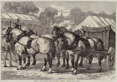 Møde i Lincolnshire Agricultural Society i Sleaford, First-Prize Team of Horses af Samuel John Carter