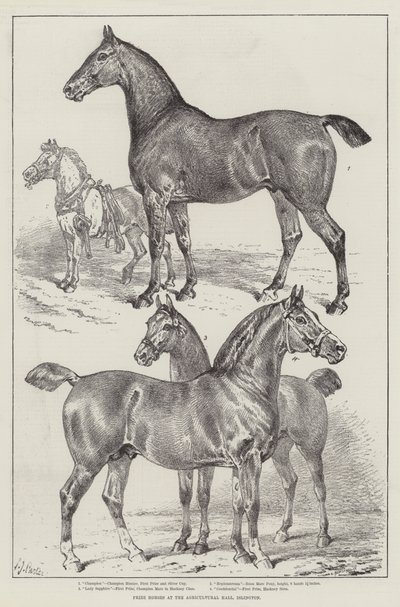 Præmieheste i Agricultural Hall, Islington af Samuel John Carter