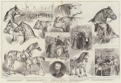 Skitser ved Royal Agricultural Society